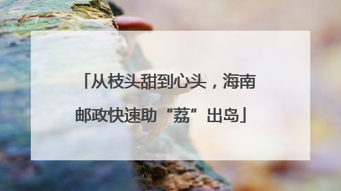从枝头甜到心头，海南邮政快速助“荔”出岛