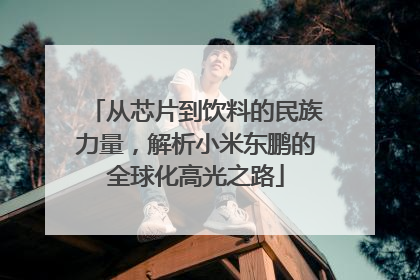 从芯片到饮料的民族力量，解析小米东鹏的全球化高光之路