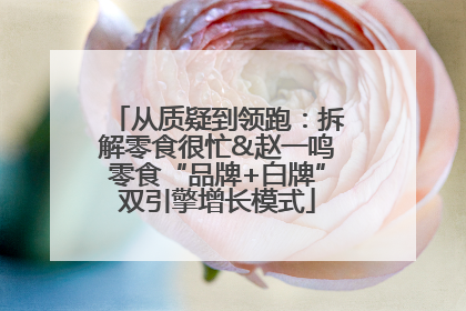 从质疑到领跑：拆解零食很忙&赵一鸣零食“品牌+白牌”双引擎增长模式