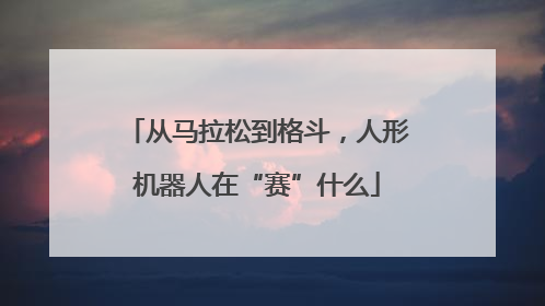 从马拉松到格斗，人形机器人在“赛”什么