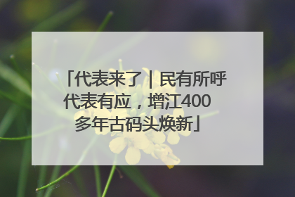 代表来了｜民有所呼代表有应，增江400多年古码头焕新