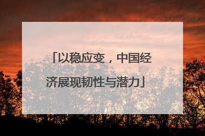 以稳应变，中国经济展现韧性与潜力