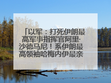 以军：打死伊朗最高军事指挥官阿里·沙德马尼！系伊朗最高领袖哈梅内伊最亲密的人之一