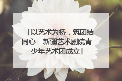 以艺术为桥，筑团结同心—新疆艺术剧院青少年艺术团成立