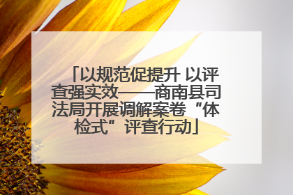 以规范促提升 以评查强实效——商南县司法局开展调解案卷“体检式”评查行动