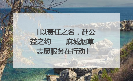 以责任之名，赴公益之约——麻城烟草志愿服务在行动