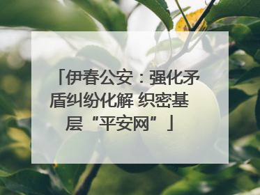 伊春公安：强化矛盾纠纷化解 织密基层“平安网”