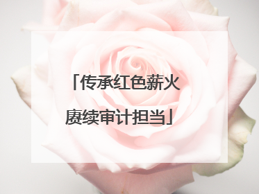 传承红色薪火 赓续审计担当