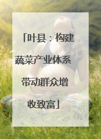 叶县：构建蔬菜产业体系 带动群众增收致富