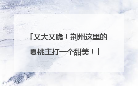 又大又脆！荆州这里的夏桃主打一个甜美！