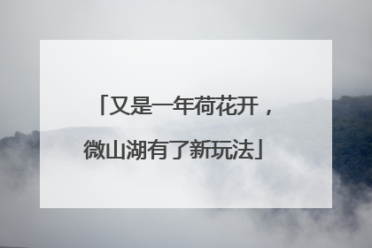 又是一年荷花开，微山湖有了新玩法