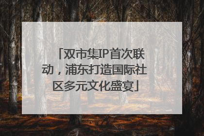 双市集IP首次联动，浦东打造国际社区多元文化盛宴