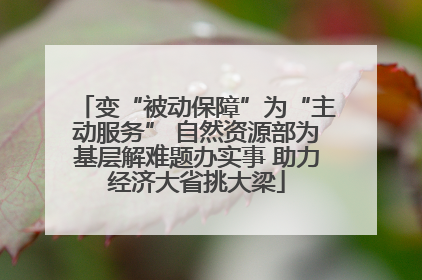 变“被动保障”为“主动服务” 自然资源部为基层解难题办实事 助力经济大省挑大梁