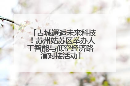 古城邂逅未来科技！苏州姑苏区举办人工智能与低空经济路演对接活动