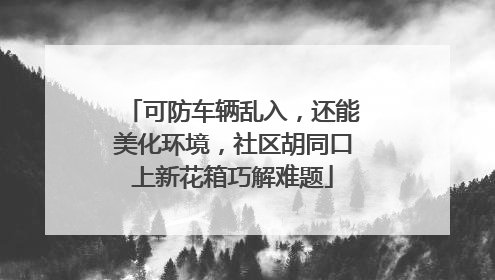 可防车辆乱入，还能美化环境，社区胡同口上新花箱巧解难题