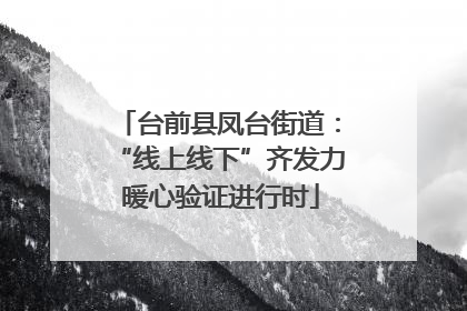 台前县凤台街道：“线上线下”齐发力 暖心验证进行时