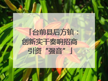 台前县后方镇：创新实干奏响招商引资“强音”
