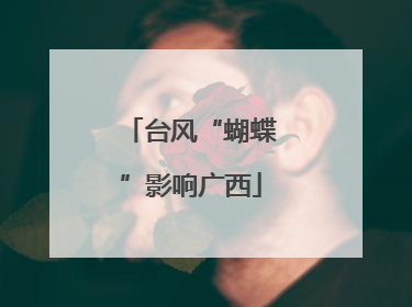 台风“蝴蝶”影响广西