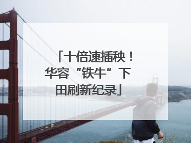 十倍速插秧！华容“铁牛”下田刷新纪录