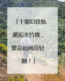 十堰旧铁轨邂逅夹竹桃，繁花似画莫轻触！