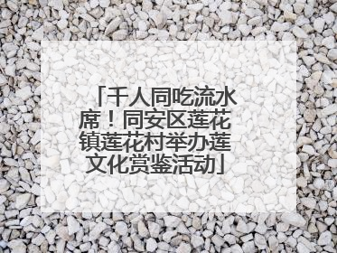 千人同吃流水席！同安区莲花镇莲花村举办莲文化赏鉴活动