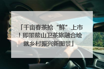 千亩春茶抢“鲜”上市！即墨鳌山卫茶旅融合绘就乡村振兴新图景