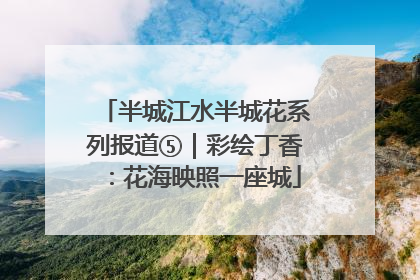 半城江水半城花系列报道⑤｜彩绘丁香：花海映照一座城