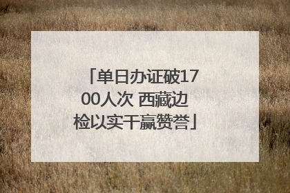 单日办证破1700人次 西藏边检以实干赢赞誉
