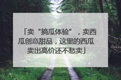 卖“摘瓜体验”，卖西瓜创意甜品，这里的西瓜卖出高价还不愁卖