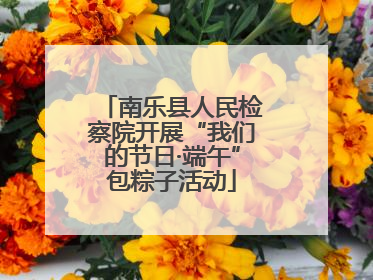南乐县人民检察院开展“我们的节日·端午”包粽子活动