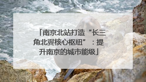 南京北站打造“长三角北翼核心枢纽”:提升南京的城市能级