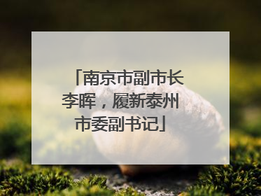 南京市副市长李晖，履新泰州市委副书记