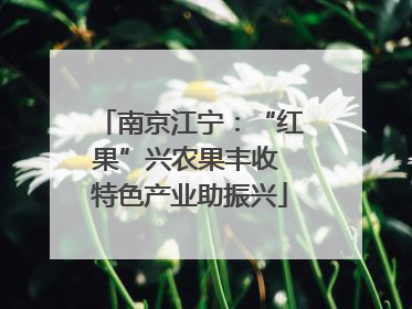 南京江宁：“红果”兴农果丰收 特色产业助振兴