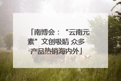 南博会：“云南元素”文创吸睛 众多产品热销海内外