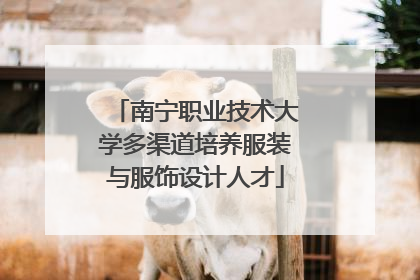南宁职业技术大学多渠道培养服装与服饰设计人才