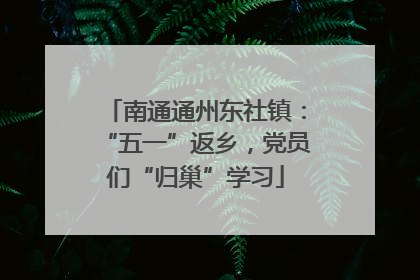 南通通州东社镇：“五一”返乡，党员们“归巢”学习