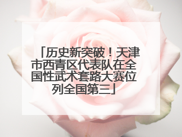 历史新突破！天津市西青区代表队在全国性武术套路大赛位列全国第三