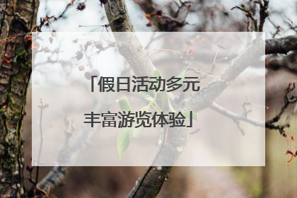 假日活动多元 丰富游览体验