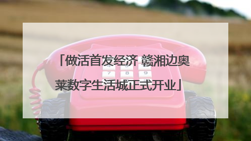 做活首发经济 赣湘边奥莱数字生活城正式开业