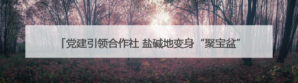 党建引领合作社 盐碱地变身“聚宝盆”——河涯村十年蝶变实现产业兴村群众富