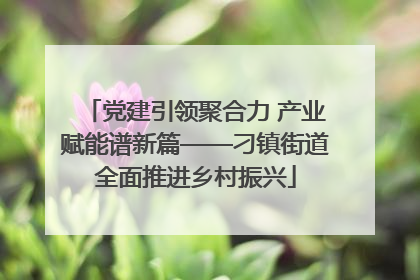 党建引领聚合力 产业赋能谱新篇——刁镇街道全面推进乡村振兴
