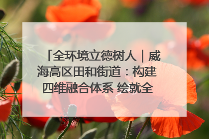 全环境立德树人｜威海高区田和街道：构建四维融合体系 绘就全环境立德树人新画卷