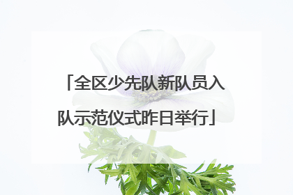 全区少先队新队员入队示范仪式昨日举行