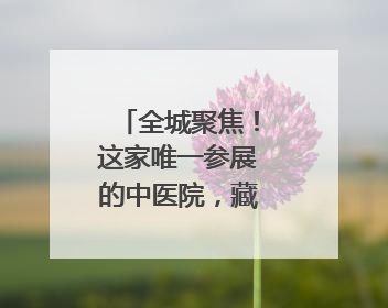 全城聚焦！这家唯一参展的中医院，藏着超有趣的中医药体验！