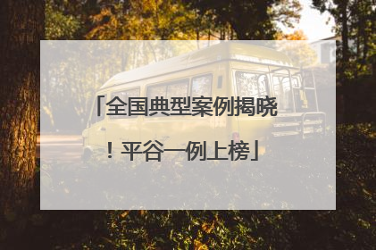 全国典型案例揭晓！平谷一例上榜