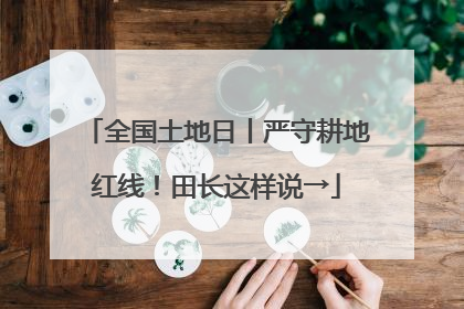 全国土地日丨严守耕地红线！田长这样说→