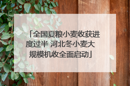 全国夏粮小麦收获进度过半 河北冬小麦大规模机收全面启动