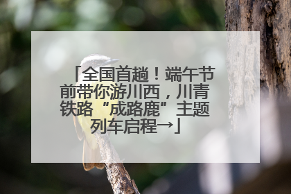 全国首趟！端午节前带你游川西，川青铁路“成路鹿”主题列车启程→