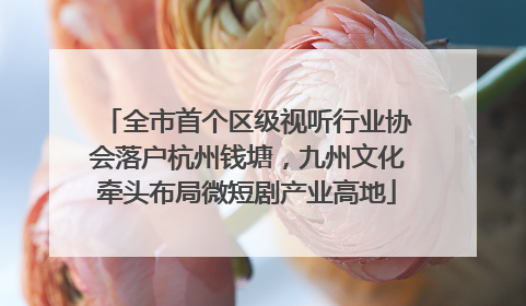 全市首个区级视听行业协会落户杭州钱塘，九州文化牵头布局微短剧产业高地