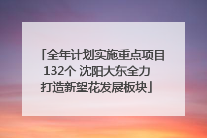 全年计划实施重点项目132个 沈阳大东全力打造新望花发展板块